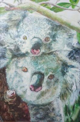 Koalas. Panov Dmitriy