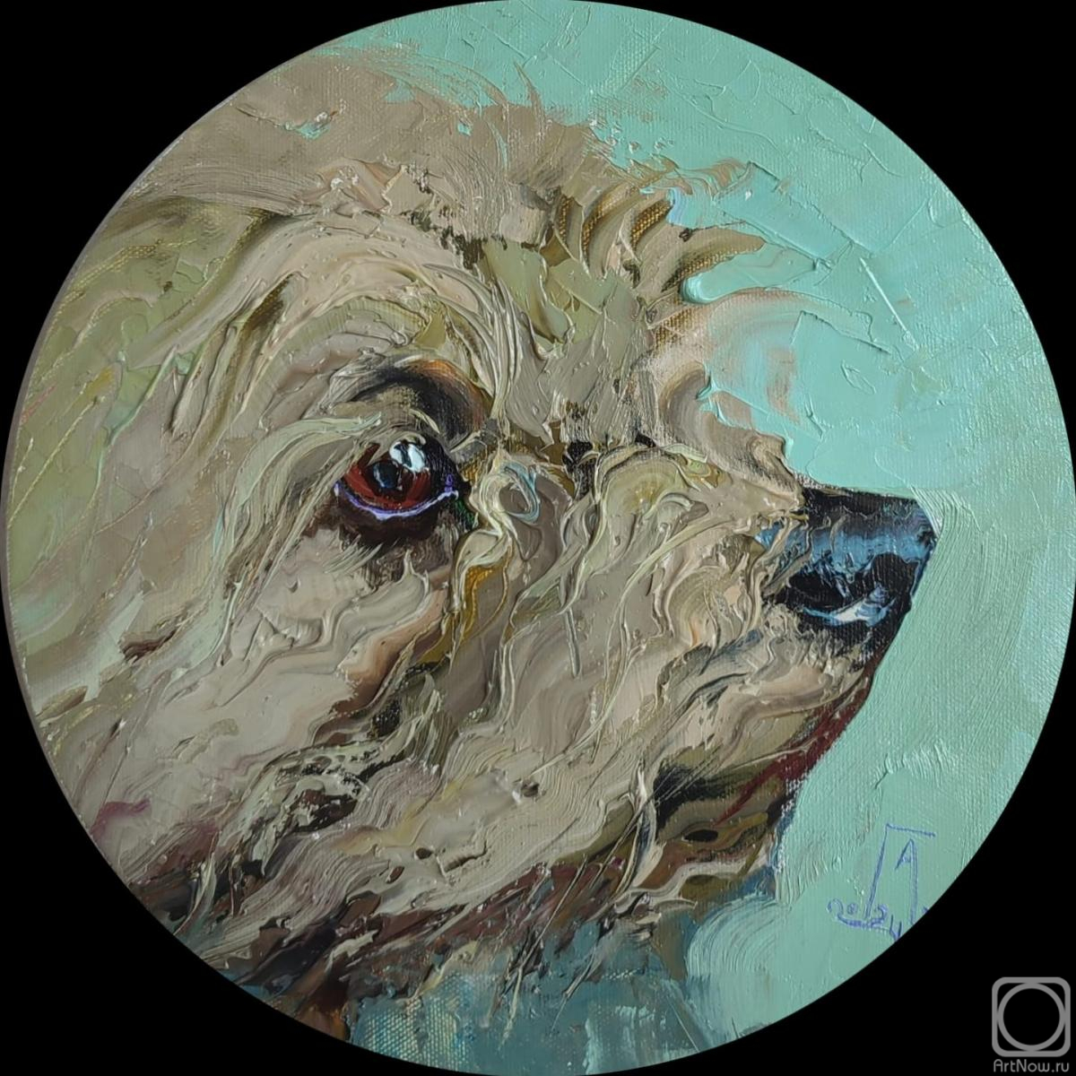 ������� ������ �� ������. ���������� �������. ������ �������