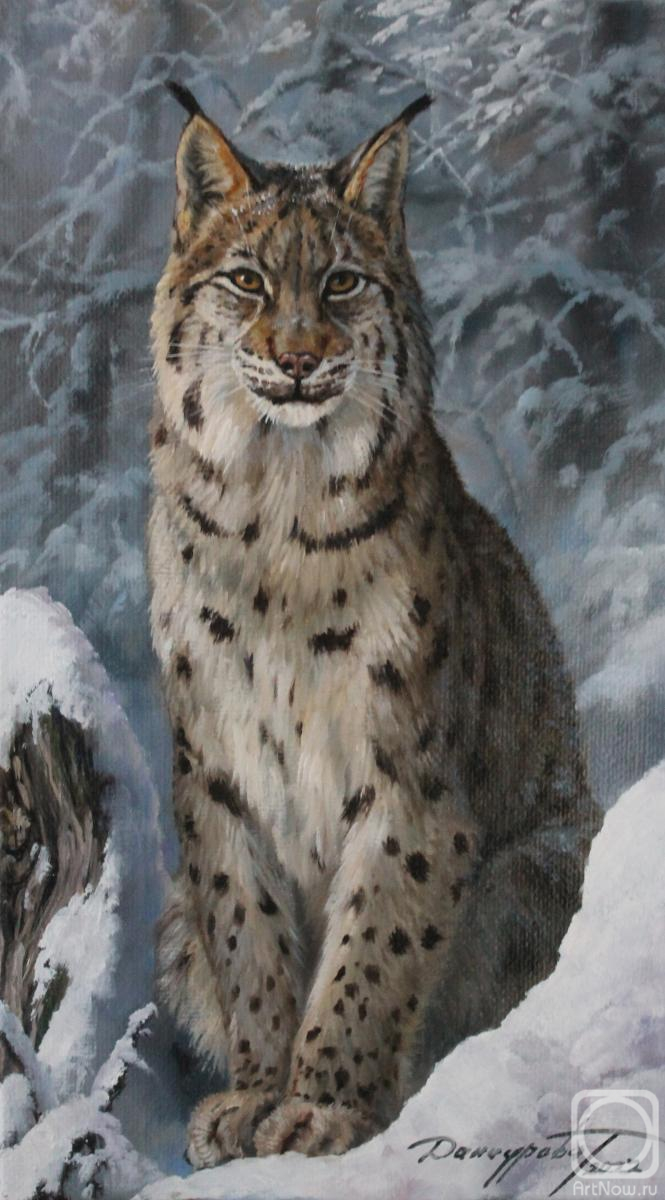 Danchurova Tatyana. Lynx