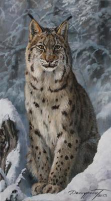 Lynx