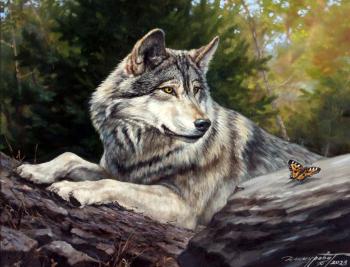 Wolf and butterfly