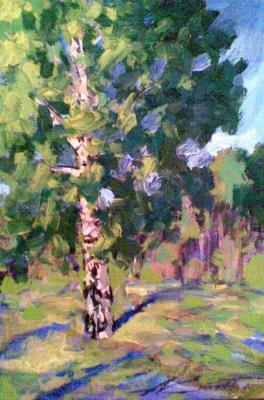 ����������. ����� ���������