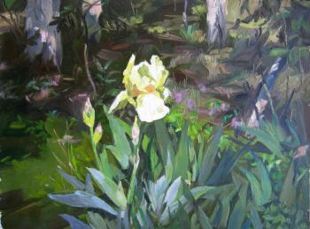 ����. ������� ��������