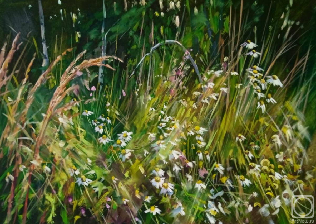 ������� ������ �� ������. ������� ������. �����