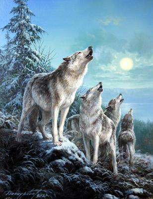 Pack of wolves