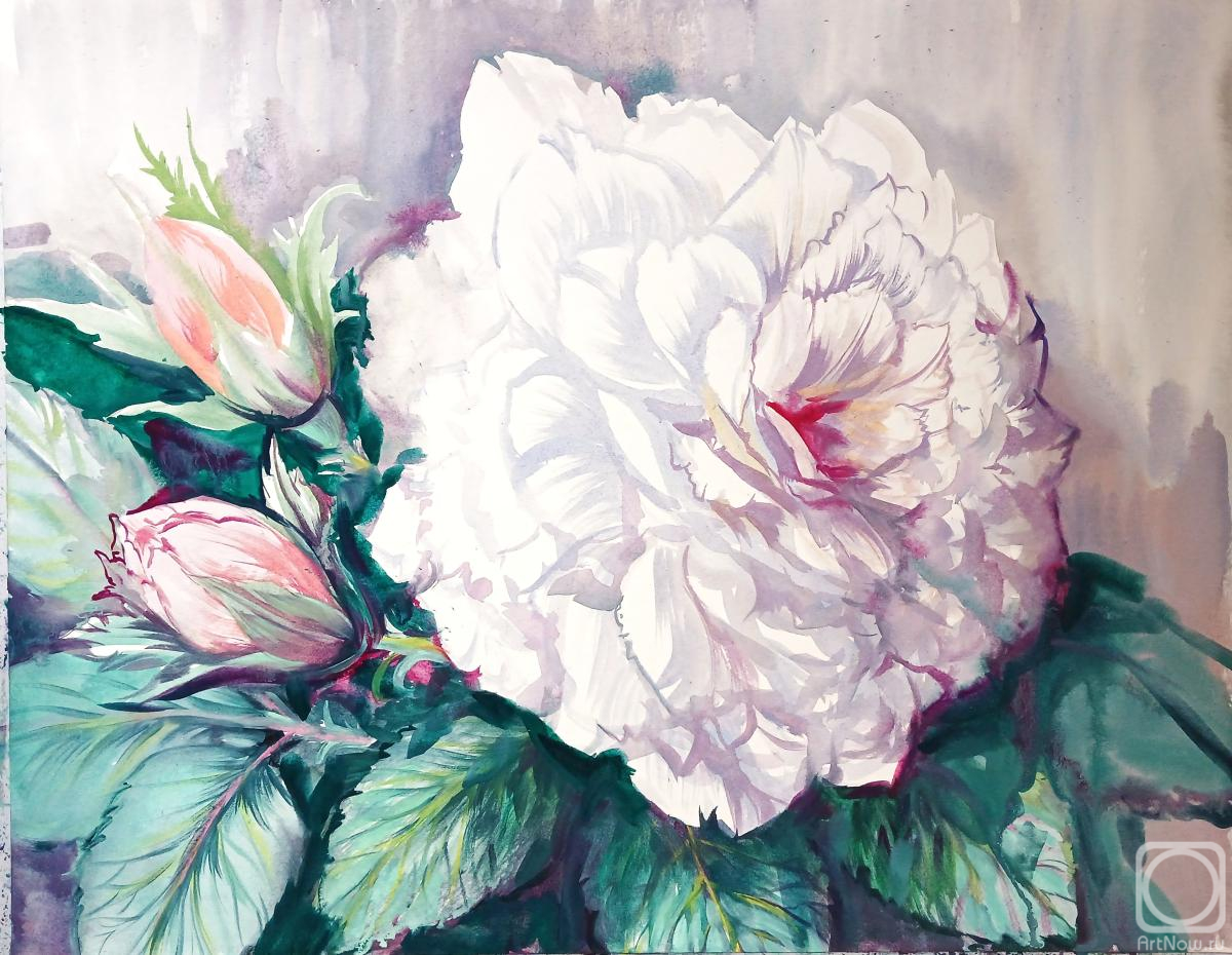 Mikhalskaya Katya. White Rose