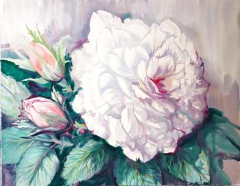 White Rose. Mikhalskaya Katya