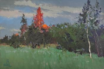 ��� ������ �������� (���� ������). ���������� �������