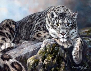 Snow Leopard