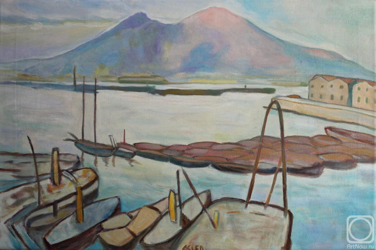 Klenov Andrei. View of Vesuvius