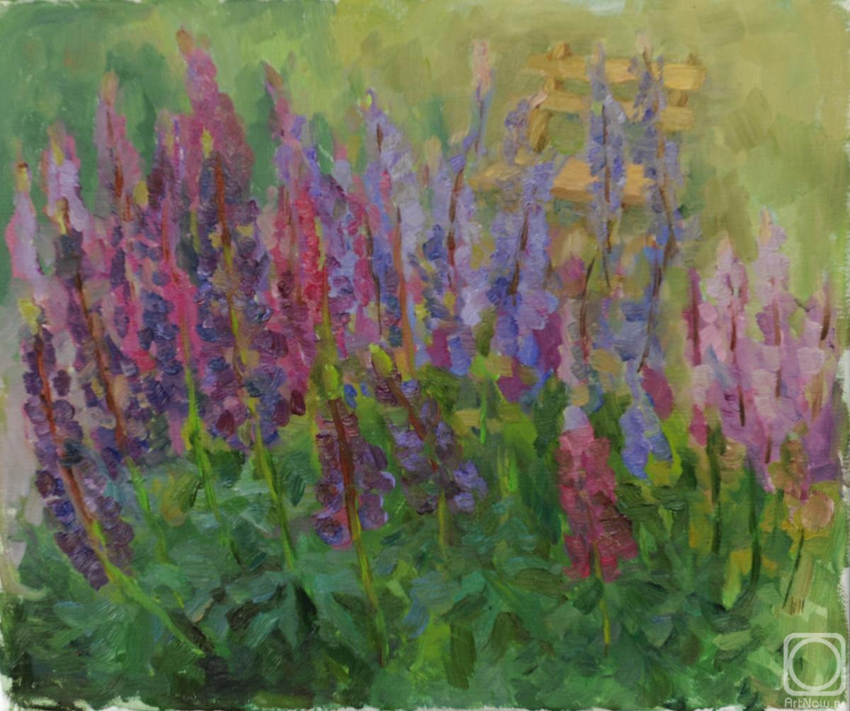 ������� ������ �� ������. ������� �������. ������