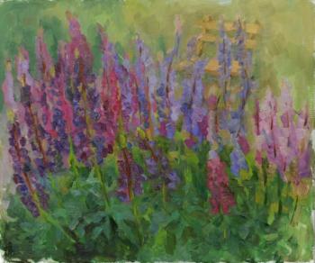 Lupines