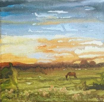 Sunset. Field with a knight