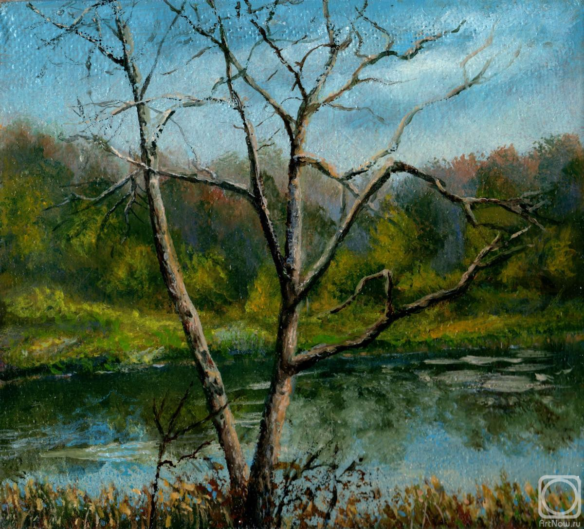 ������� ������ �� ������. ������� ��������. ������ ��������