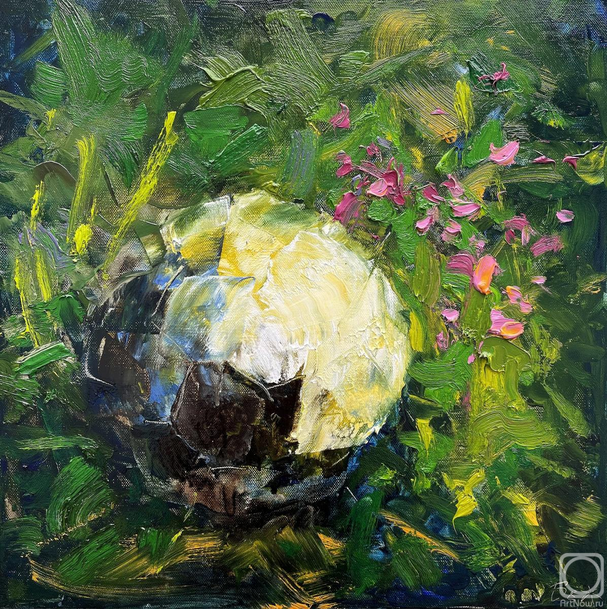 ������� ������ �� ������. ������ �����. Ҹ���� ���