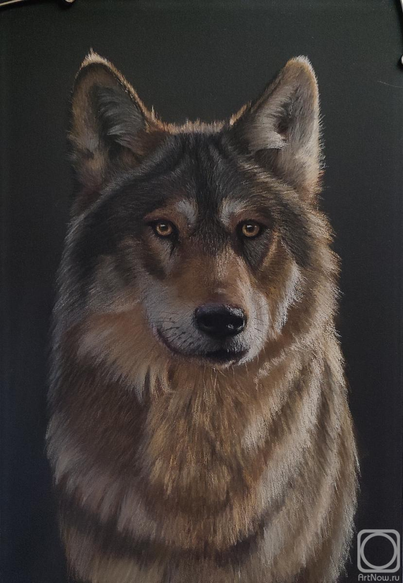 �������. ���������� ������. ����