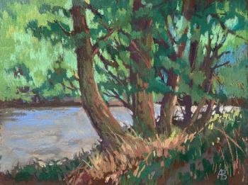 Abkhazia. Evening on the Bzymta River. Vedeshina Zinaida