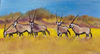 Oryx antelopes