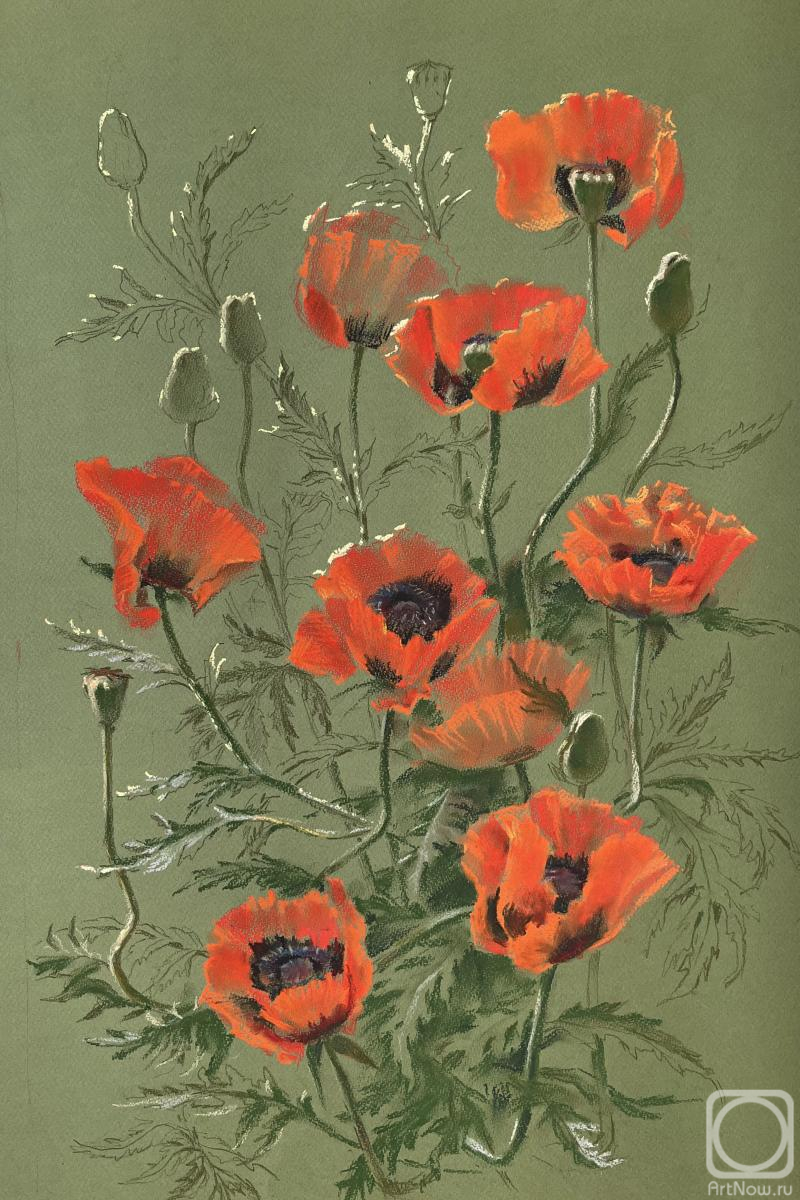 �������. �������� �����. ����. ����