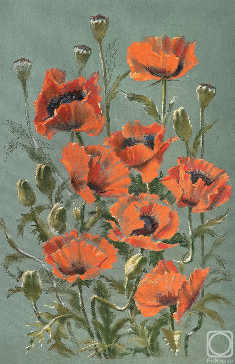 �������. �������� �����. ���� � ����� ����