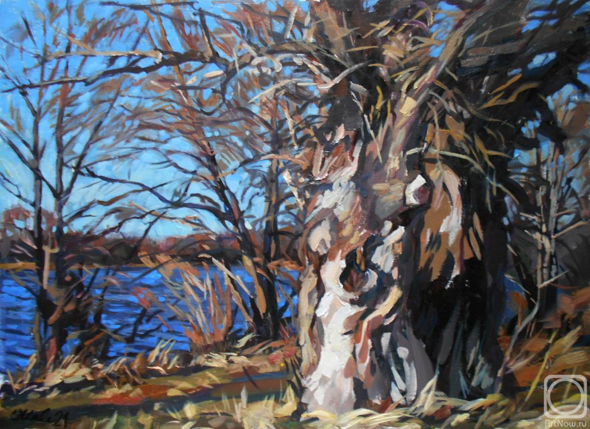 �������. �������� ������. ¸��� �� ����