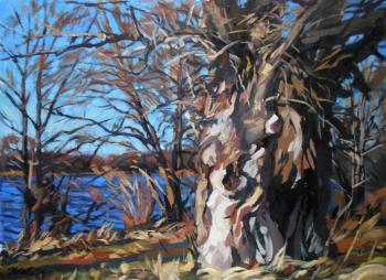 Broomsticks on the Paw. Shaluhina Oksana