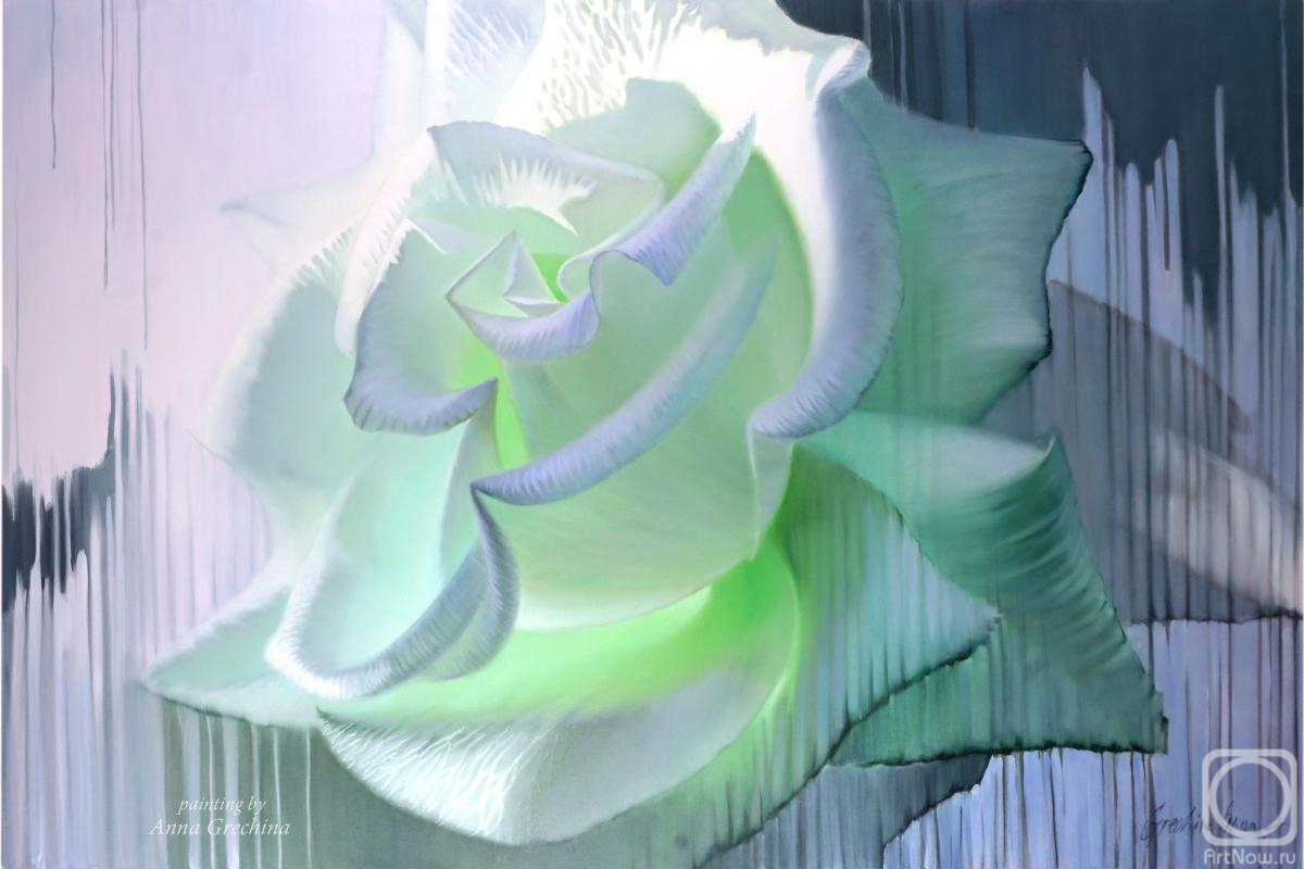 ������� ������ �� ������. ������� ����. �������� �����