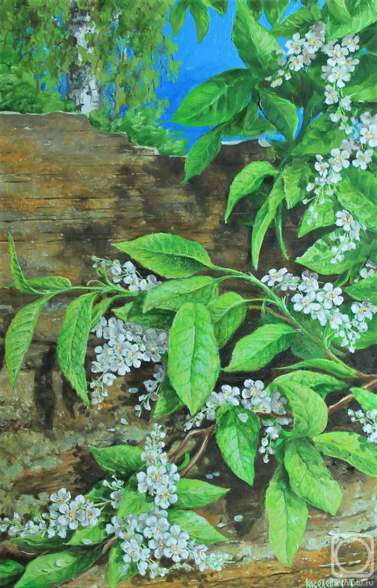 ������� ������ �� ������. ��������� ��������. ���������� ������