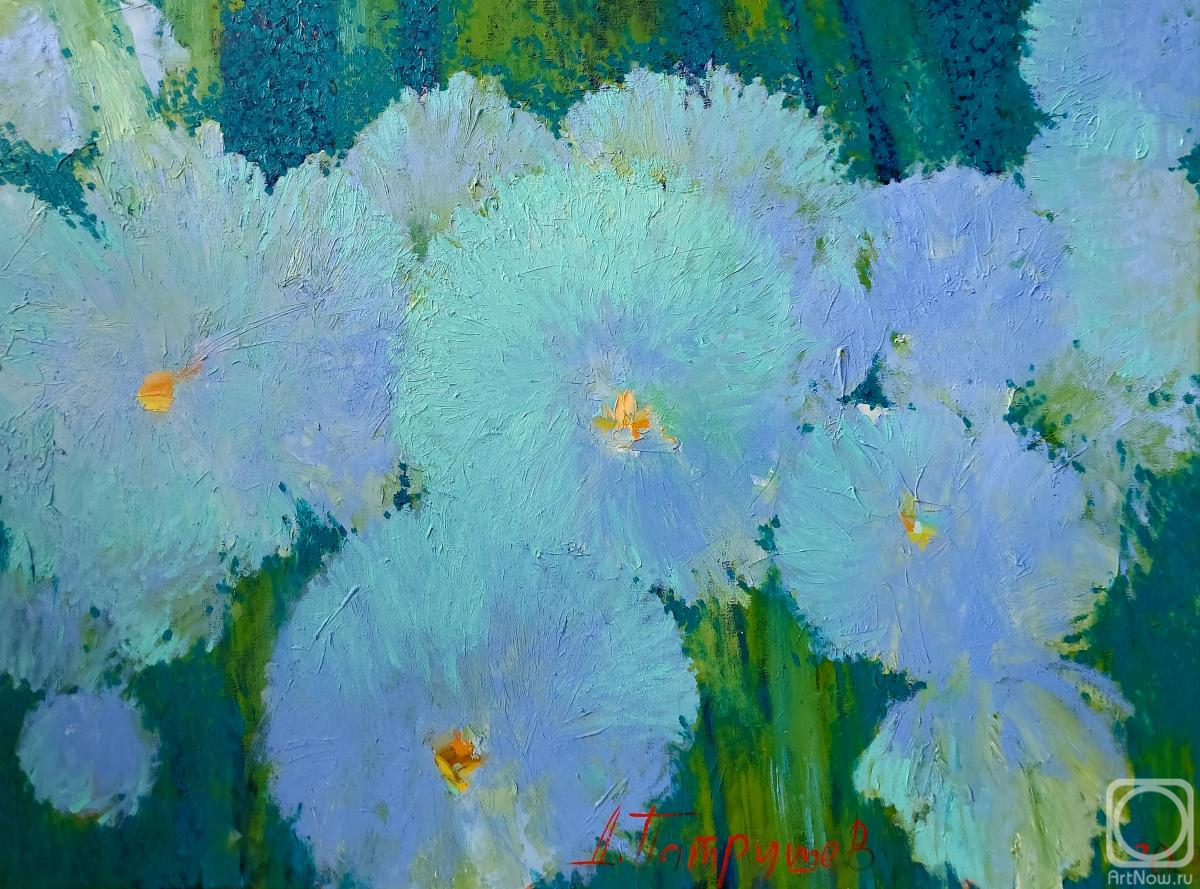 ������� ������ �� ������. �������� �������. ������ ���������