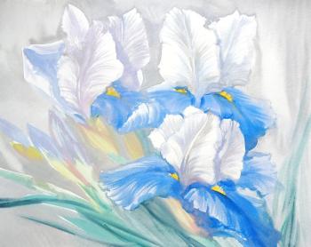 Irises. Summer sleep