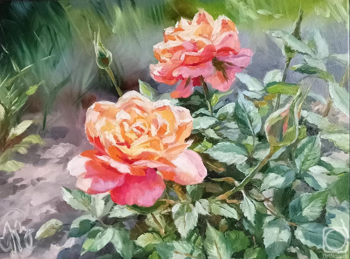 ������� ������ �� ������. ������� �������. ���������. ����