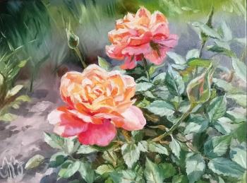 ������� ����������. �����