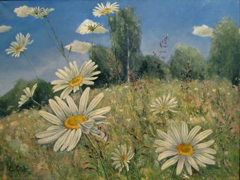 Chamomile Summer. Savelyeva Elena
