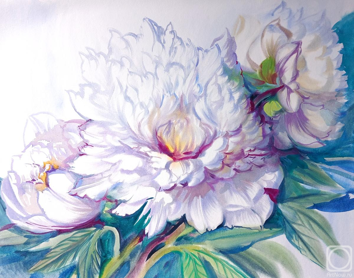Mikhalskaya Katya. White peonies