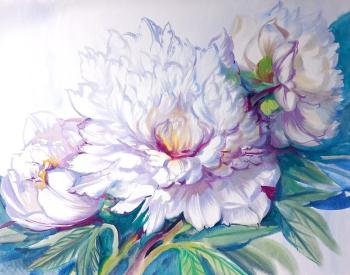 White peonies