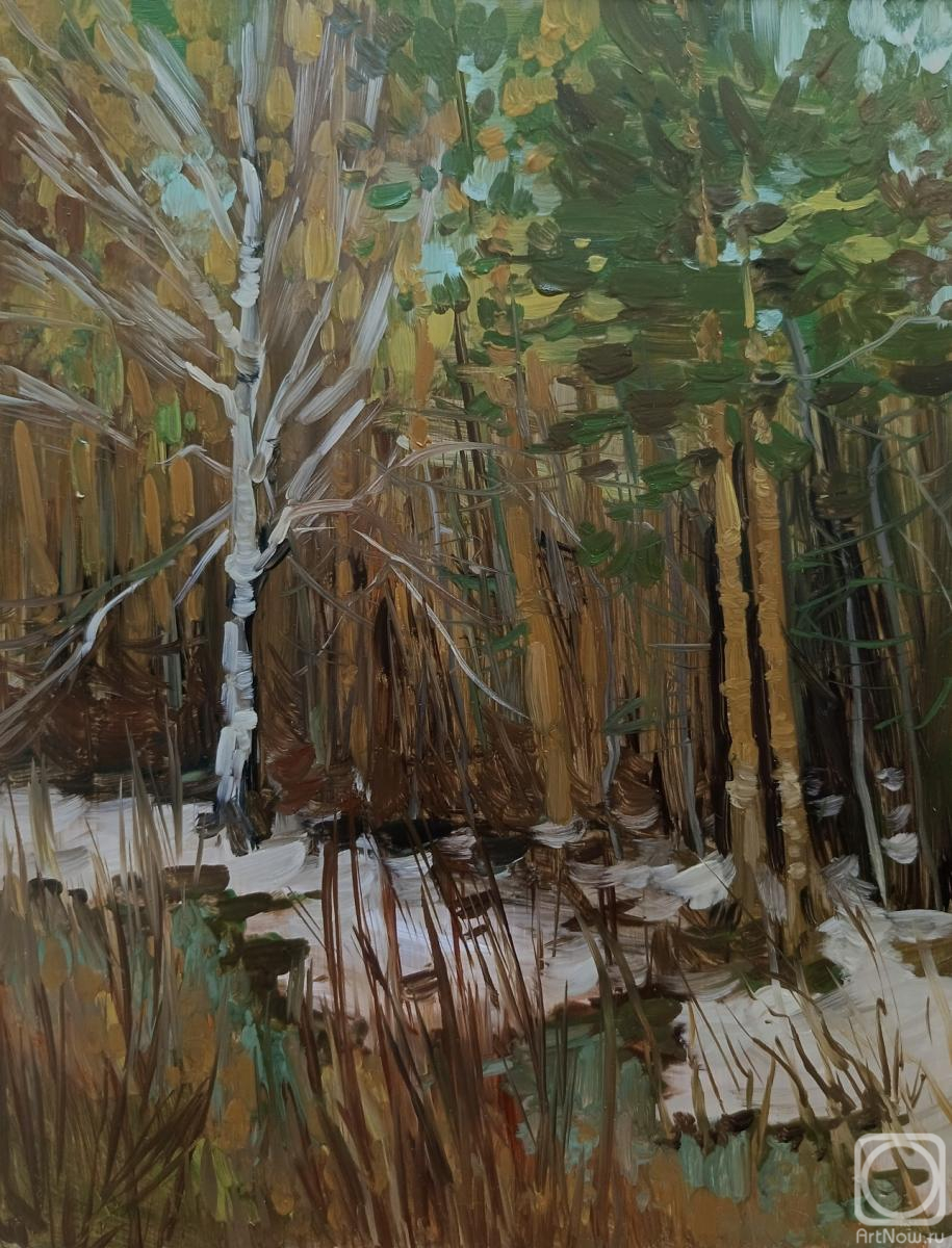 �������. Ը������-������ �������. ���������� ��������