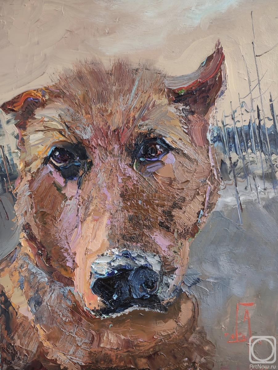 �������. ���������� �������. ���� ���� ������