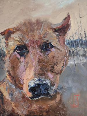 ���� ���� ������ (�������� � �������). ���������� �������