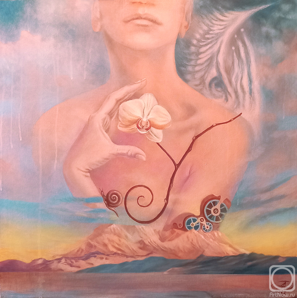 ������� ������ �� ������. ��������-������� �������. ���� ������ ������ �����