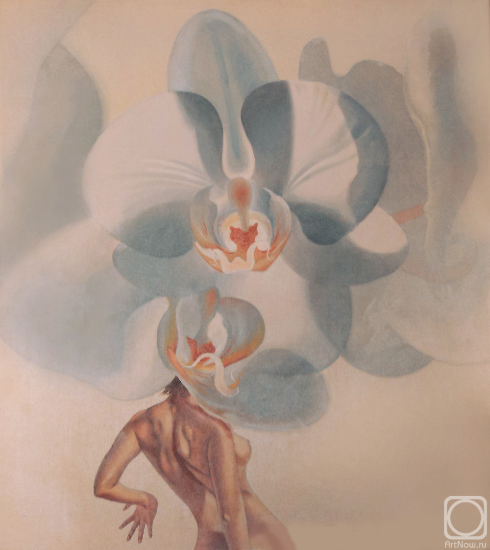 �������. ��������-������� �������. �������