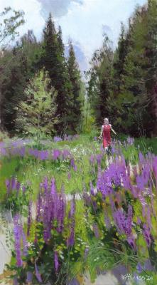 Path in lupines