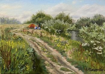 Along the Sturgeon River