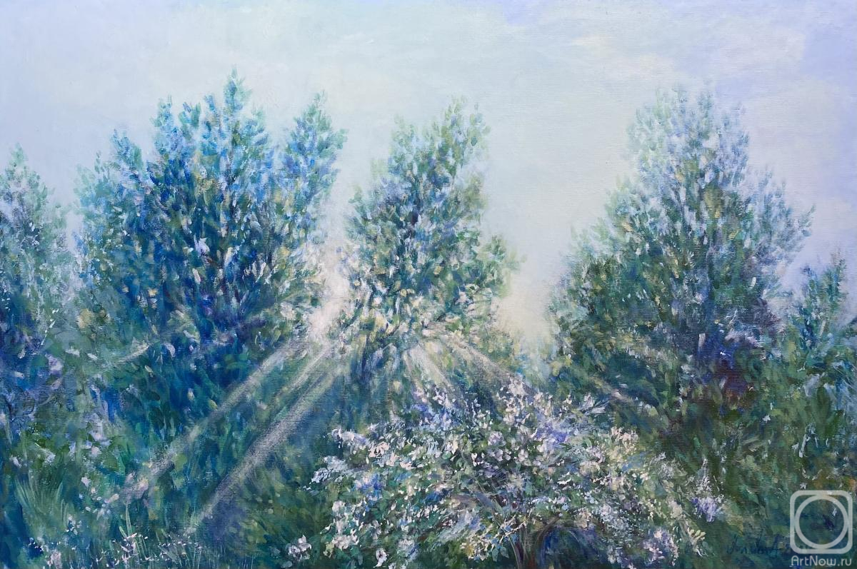 Ivanova Julia. Jasmine blooms