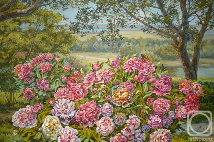 ������� ������ �� ������. ����� ������. ����� � ����