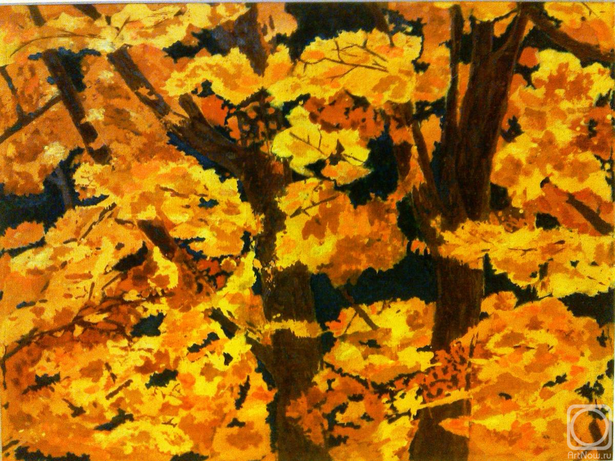 ������� ������ �� ������. �������� ������. �����