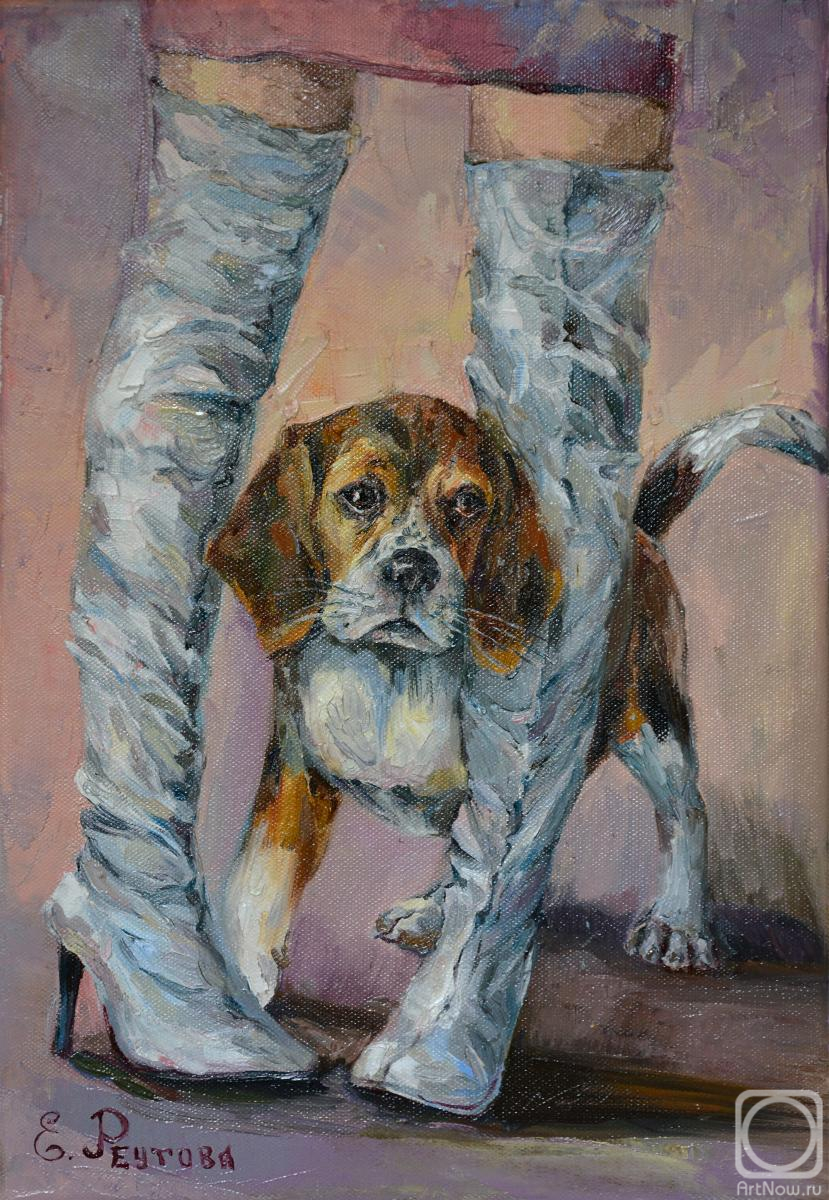 Reutova Elena. Beagle and grey boots