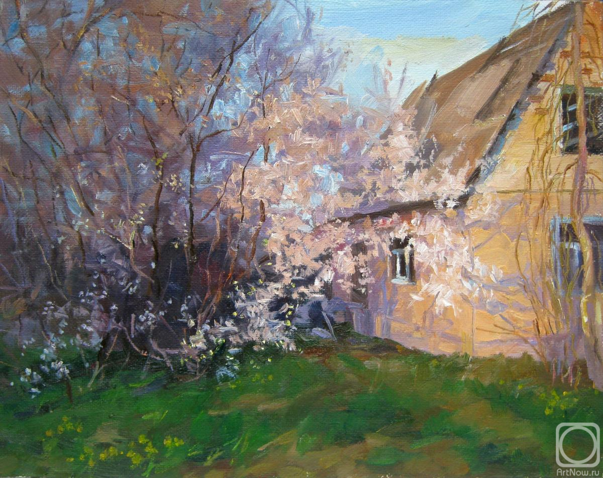 �������. ������� ��������. ����� �� ����������� ����