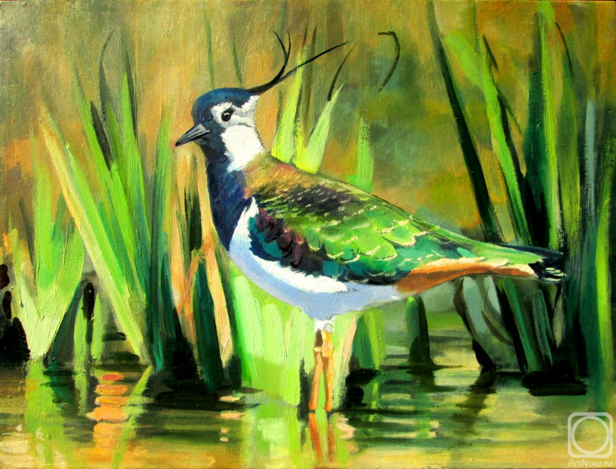 ������� ������ �� ������. ������ �����. �����