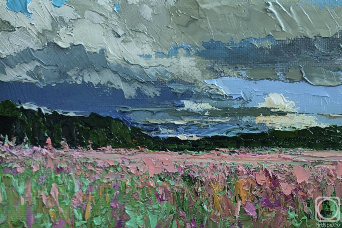 ������� ������ �� ������. ���������� �������. ���� ���� �����