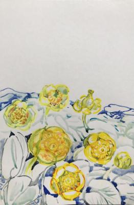 ��������